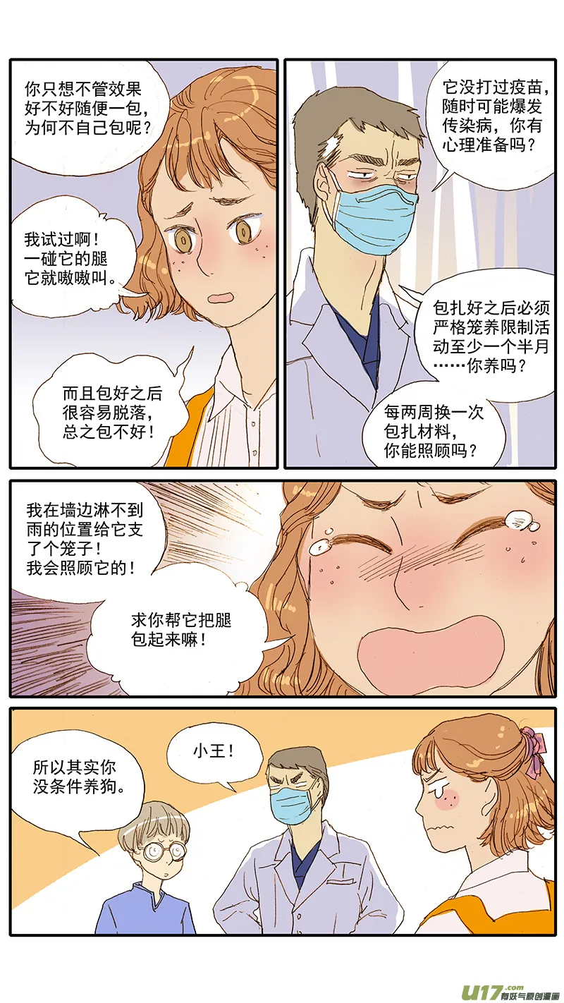 067 骨折外固定 第3页