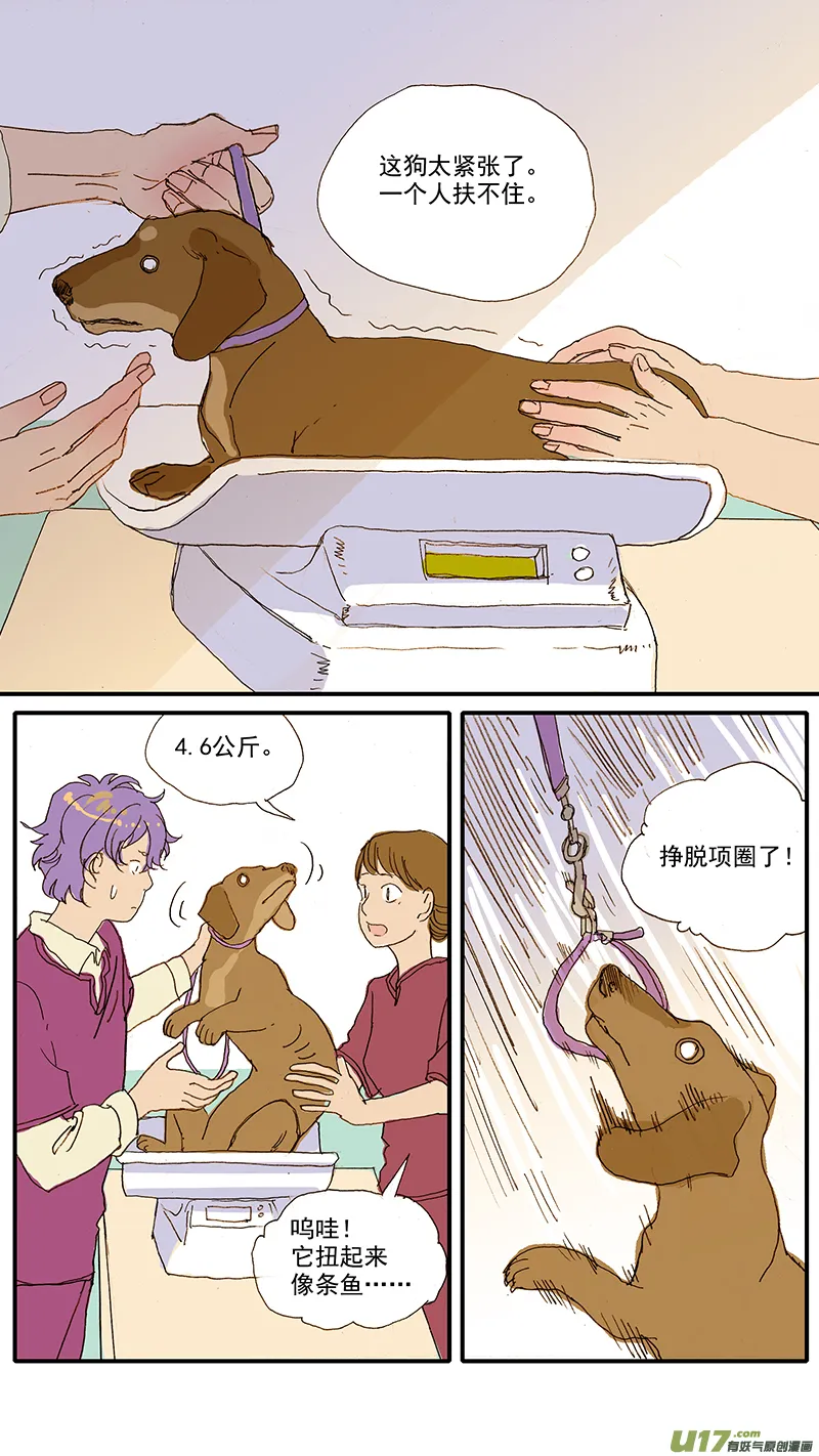 071 就诊动物逃逸 第6页