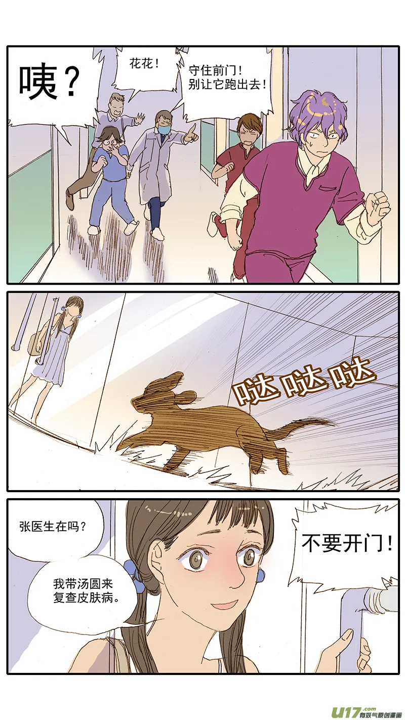071 就诊动物逃逸 第10页