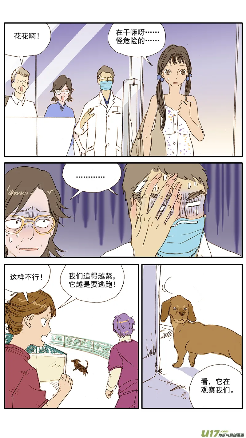 071 就诊动物逃逸 第12页
