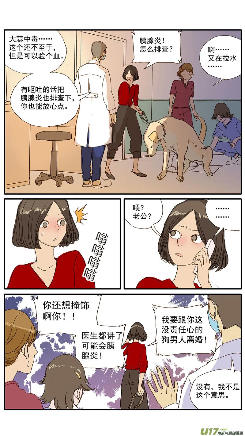 077 犬消化道异物（食物包装） 第6页