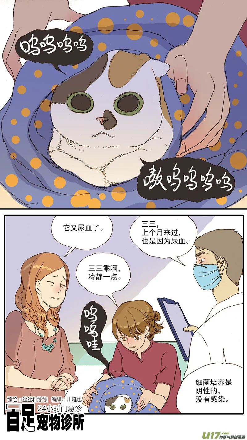 078 猫特发性膀胱炎 第1页