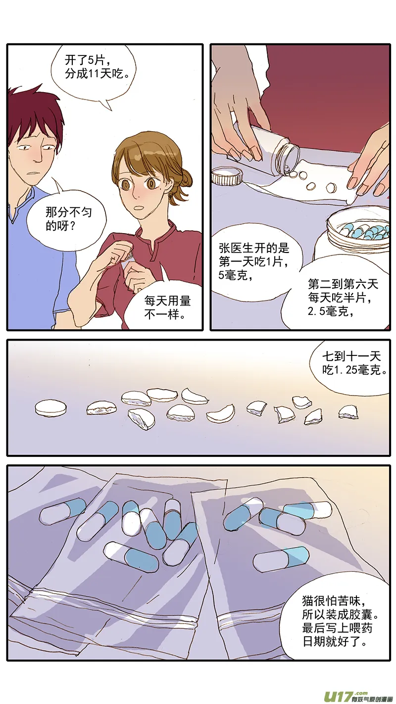 078 猫特发性膀胱炎 第4页