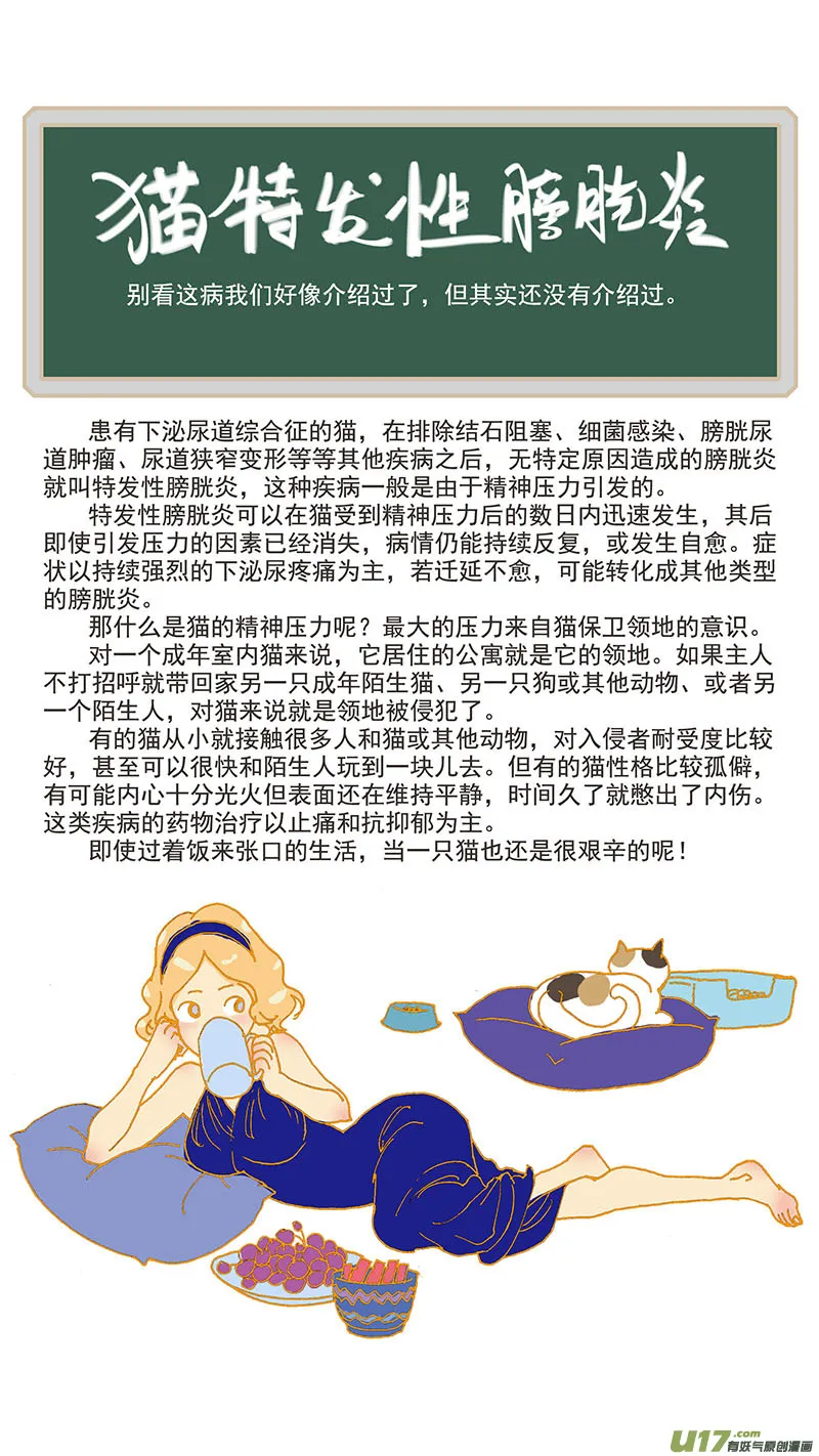 078 猫特发性膀胱炎 第12页