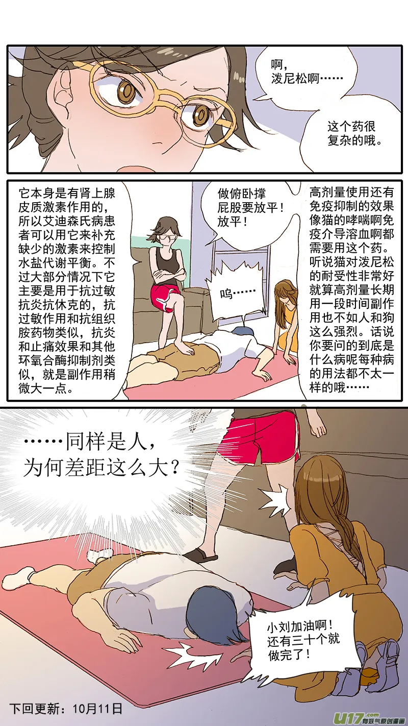 078 猫特发性膀胱炎 第13页
