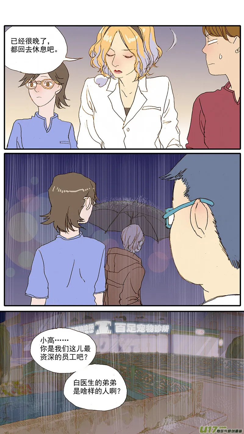 81 第8页