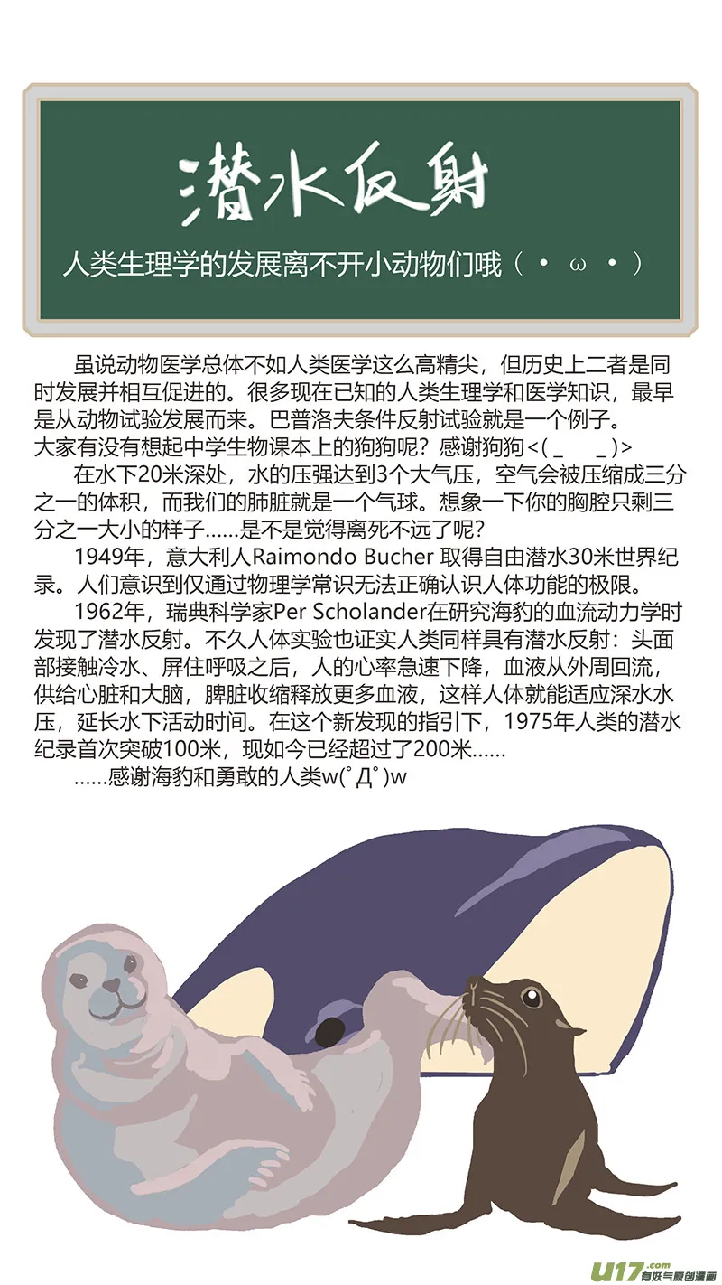 099 潜水反射 第13页