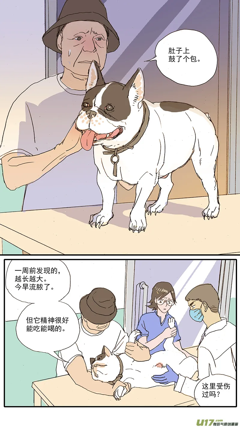 100 犬消化道异物（钢签） 第4页