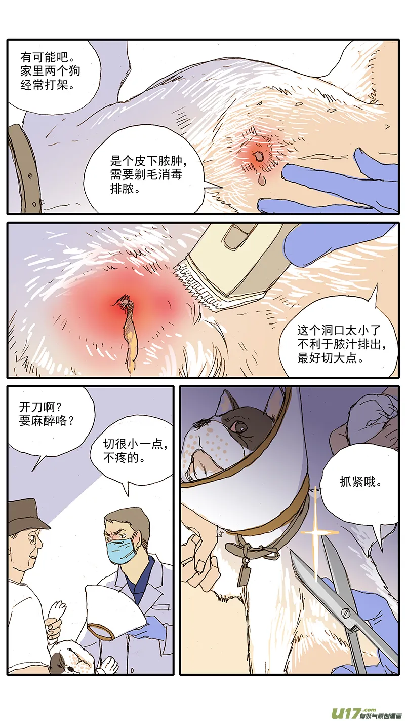 100 犬消化道异物（钢签） 第5页