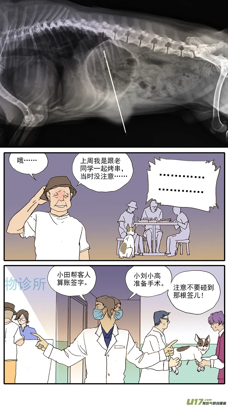 100 犬消化道异物（钢签） 第8页