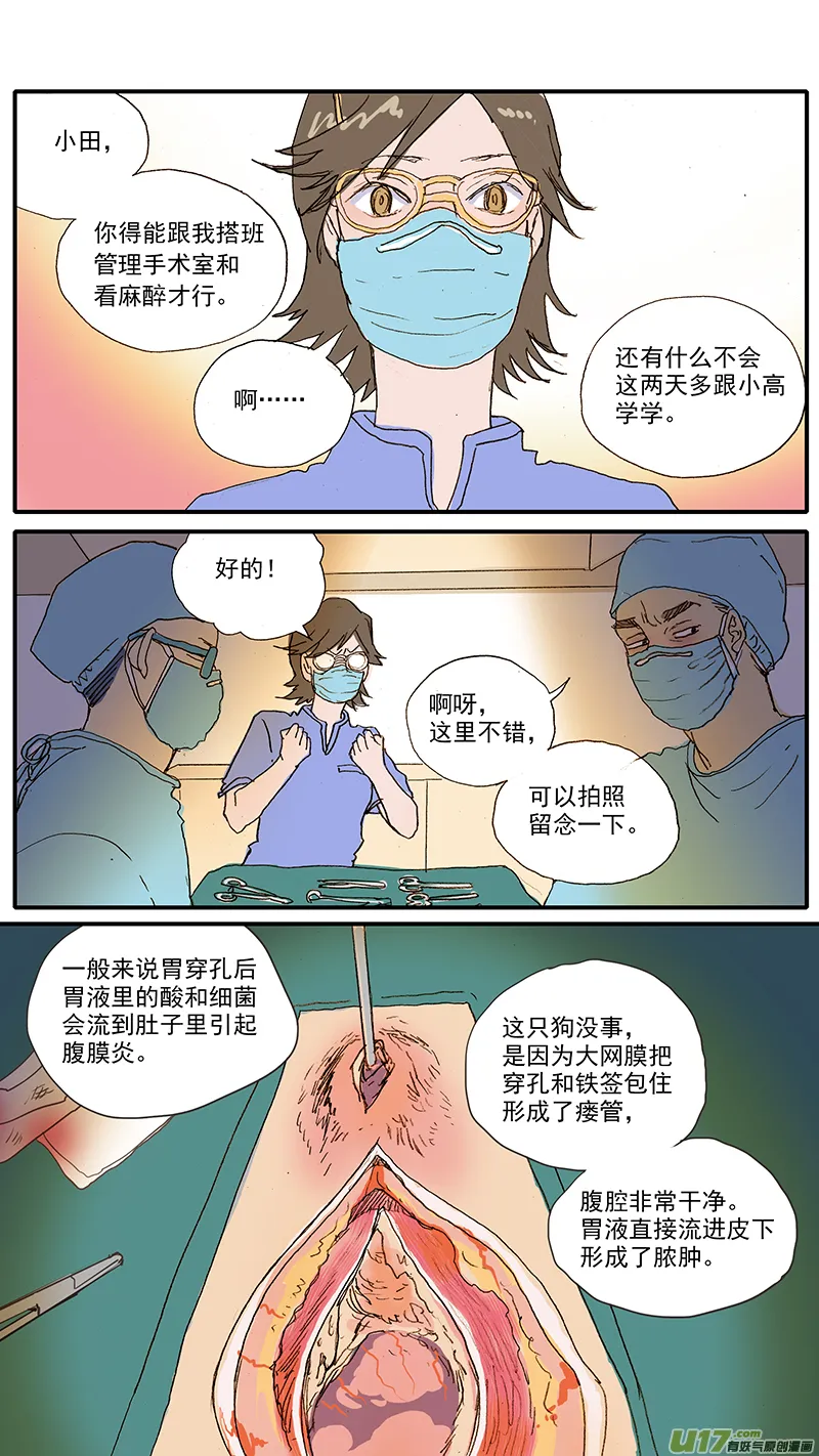 100 犬消化道异物（钢签） 第12页