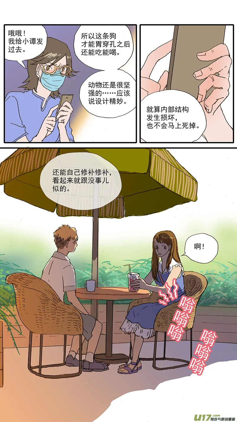 100 犬消化道异物（钢签） 第13页