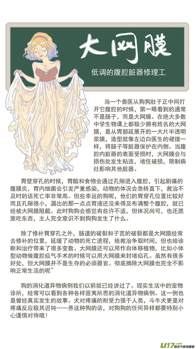 100 犬消化道异物（钢签） 第15页