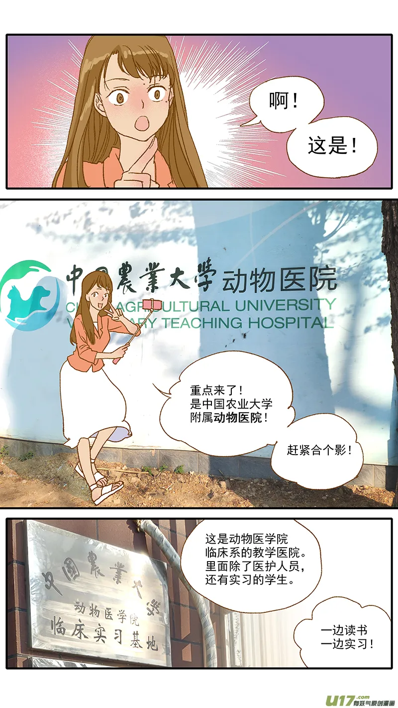 107 中国农业大学动物医院 第8页