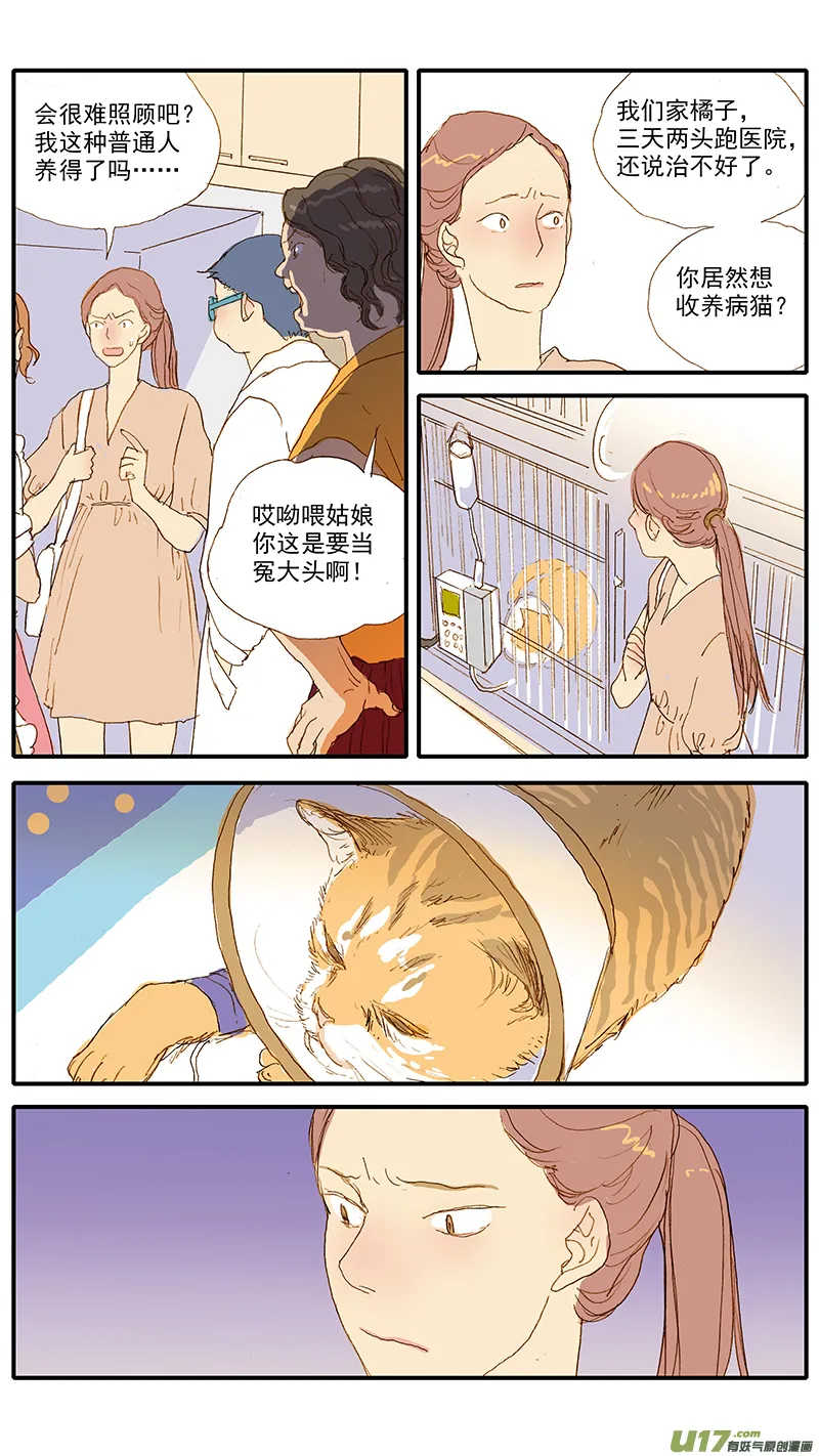 113 肠道嵌顿 第8页