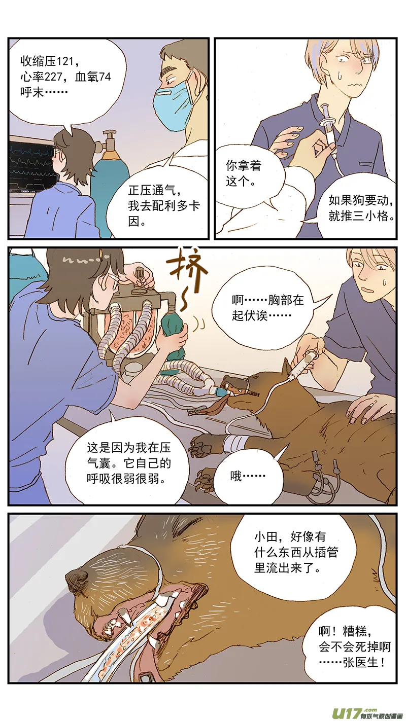 127 第11页