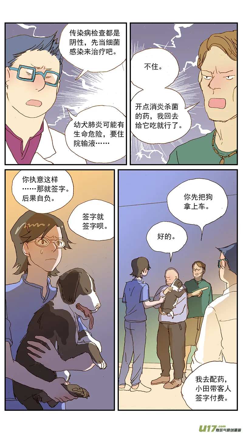 129 幼犬肺炎 第5页
