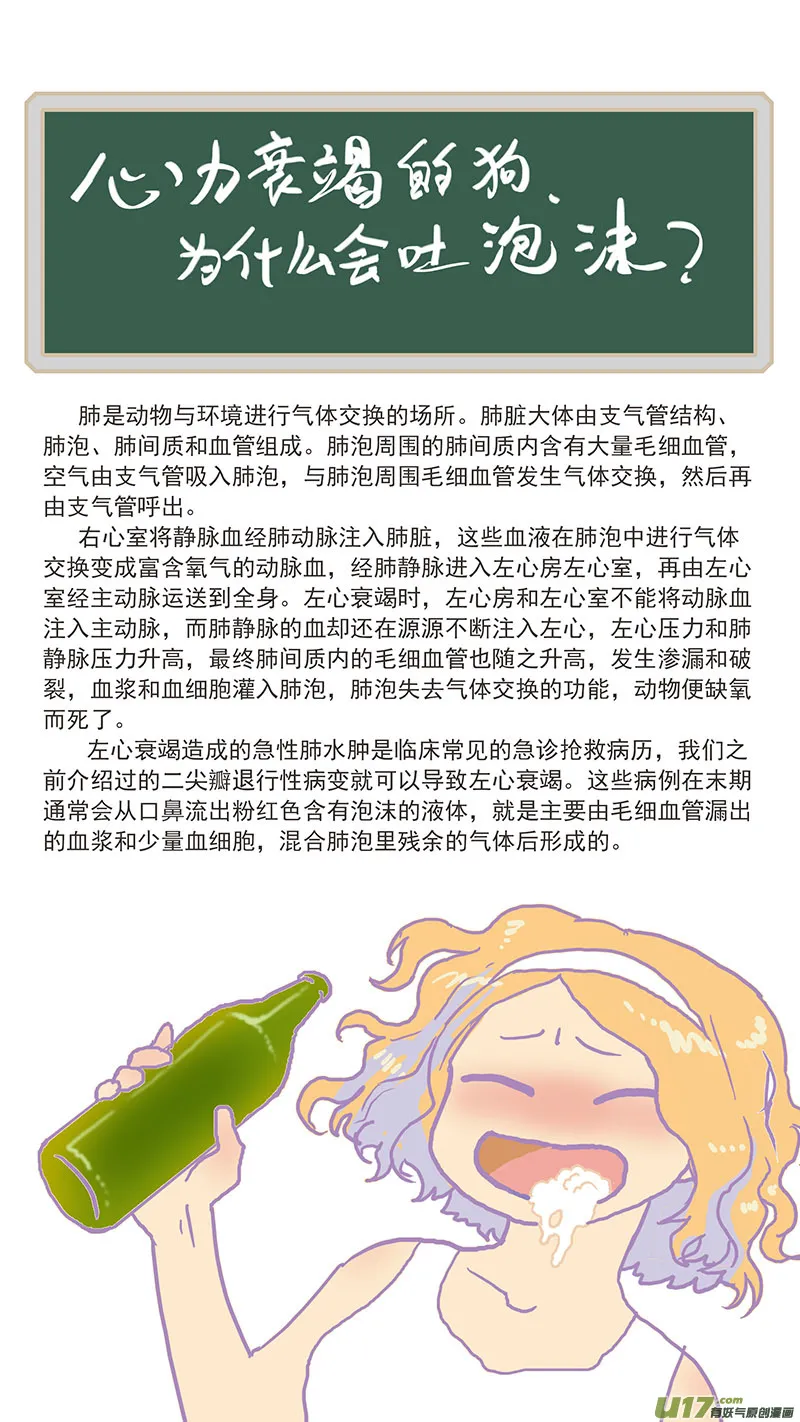 128 心源性肺水肿 第14页