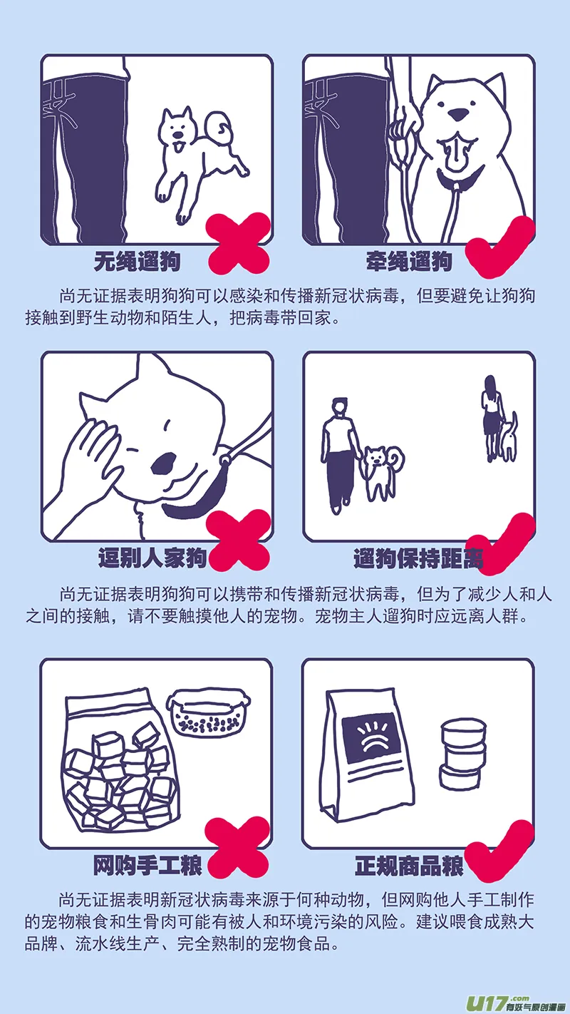141.5 突发！新冠疫情期间养宠贴士 第2页