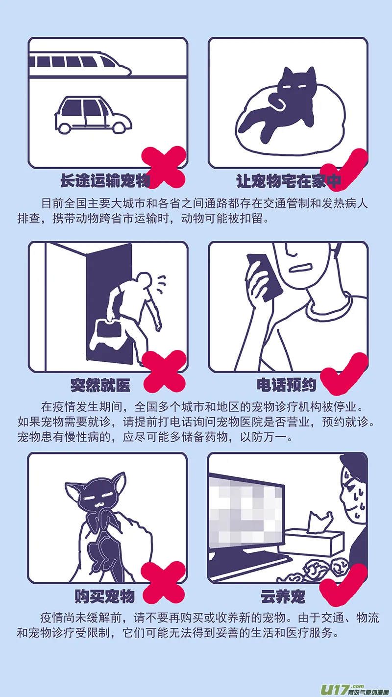 141.5 突发！新冠疫情期间养宠贴士 第3页