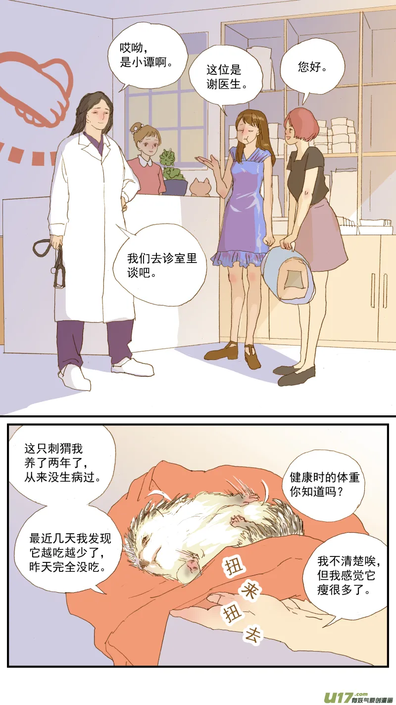 155 刺猬怎么看病 第6页