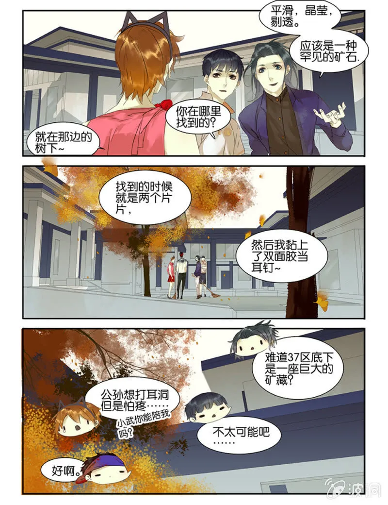 37区鉴宝 第3页