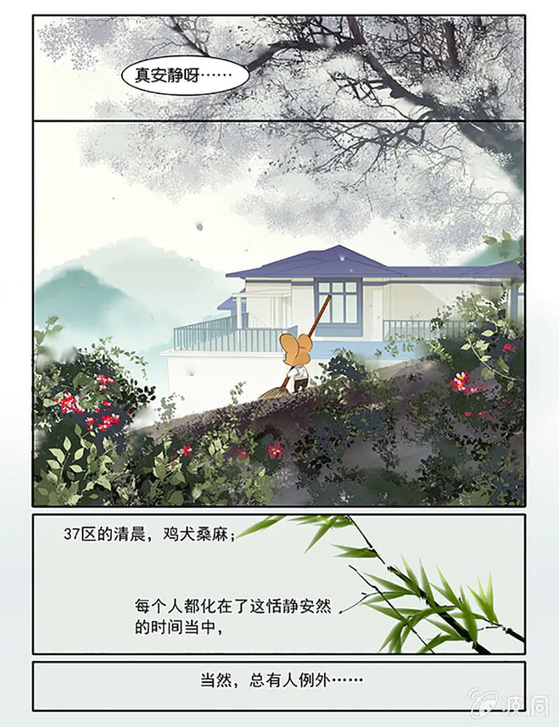 55 第3页