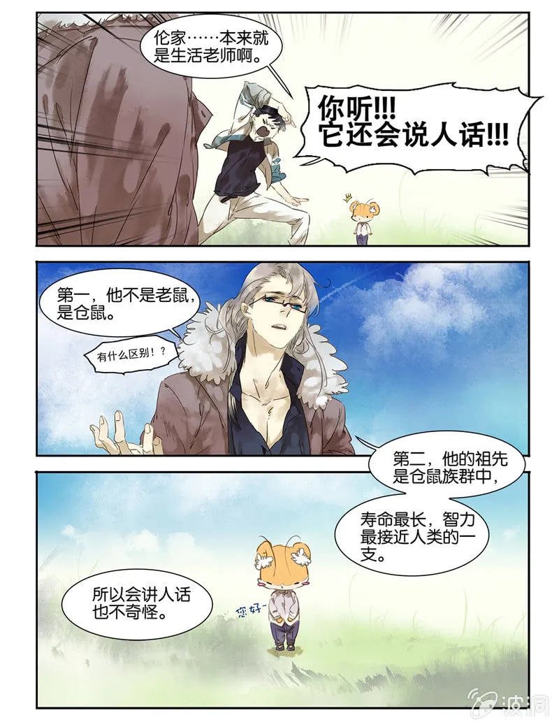 4 第4页