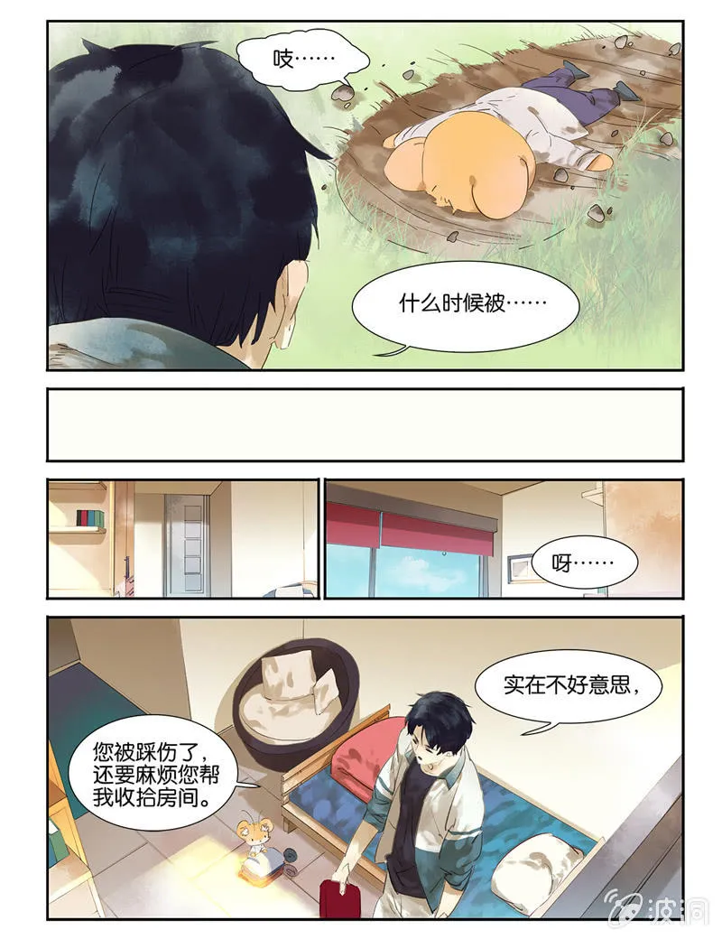 5 第12页