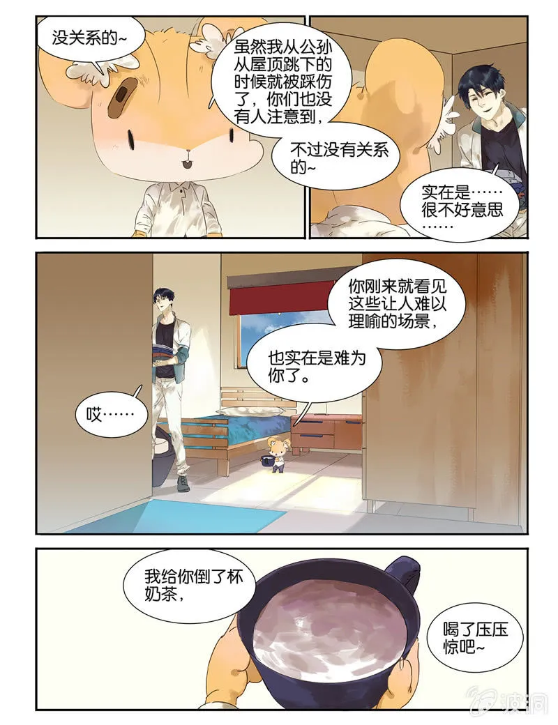 5 第13页