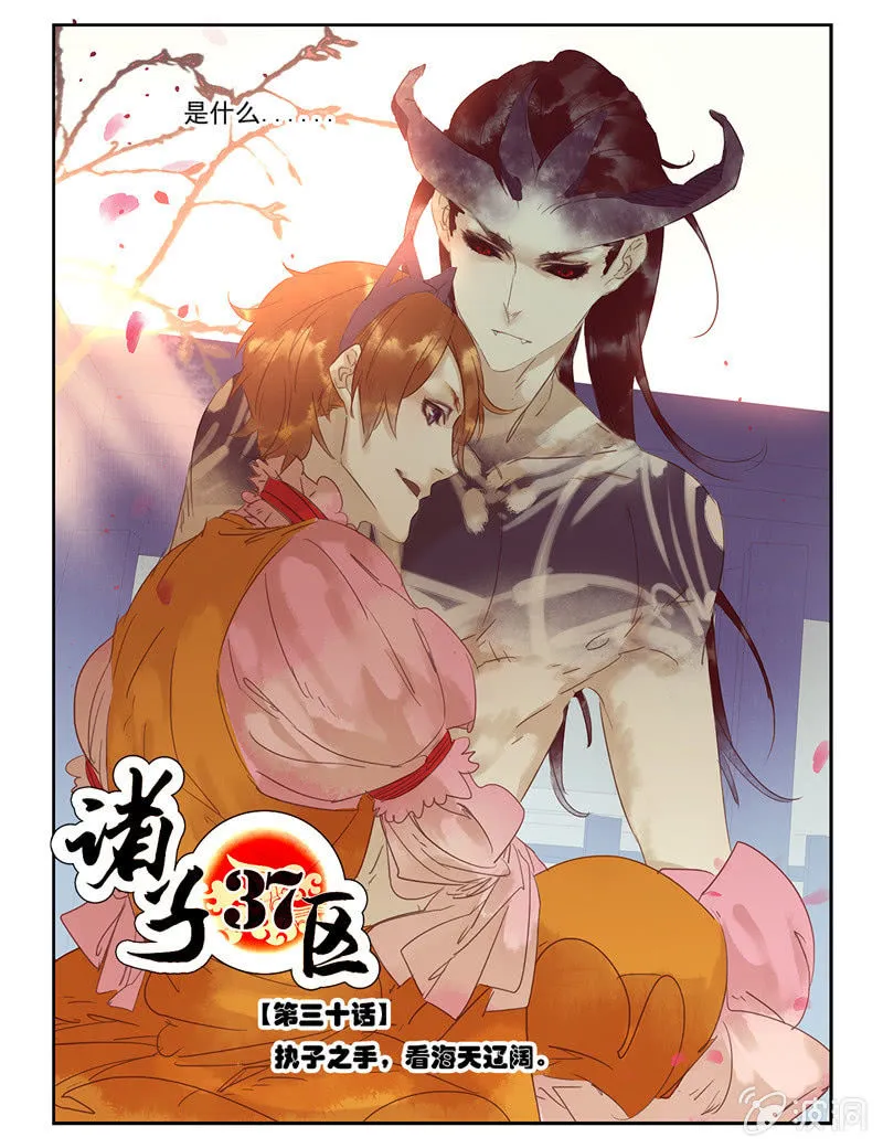 30 第5页