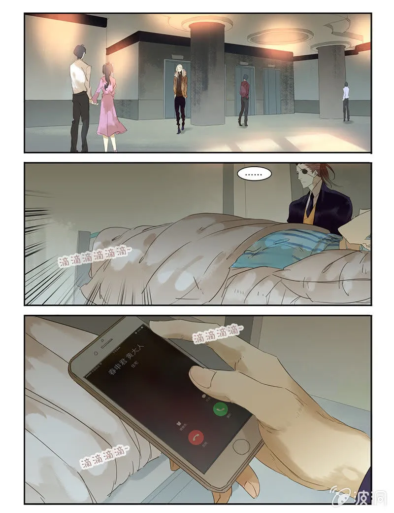 33 第8页
