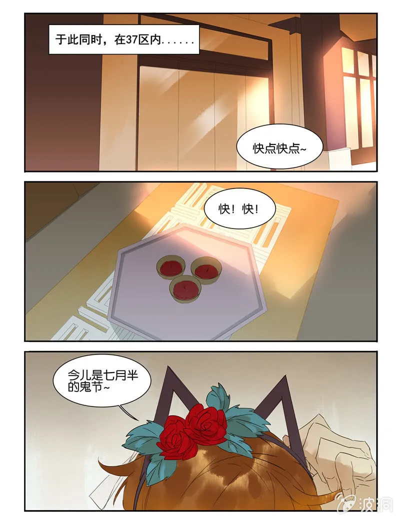 33 第11页