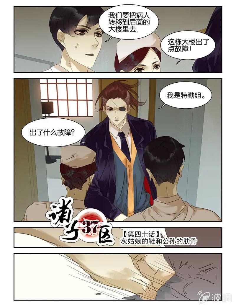 41 第6页