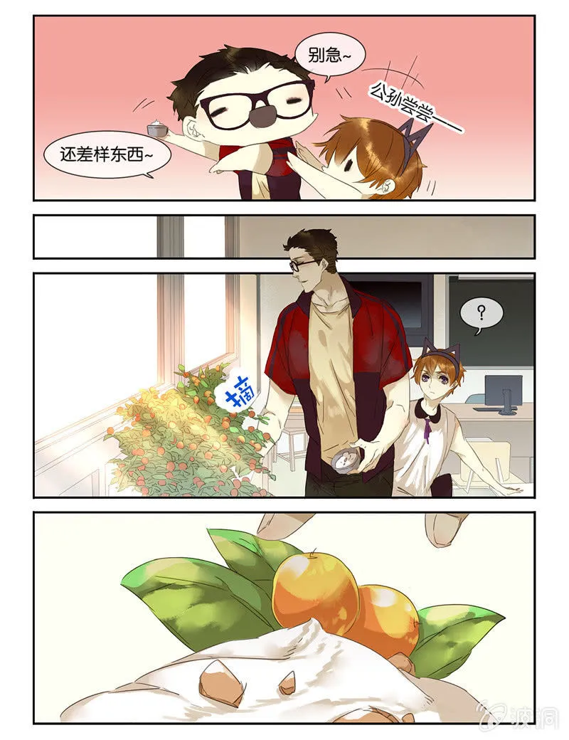 43 第8页