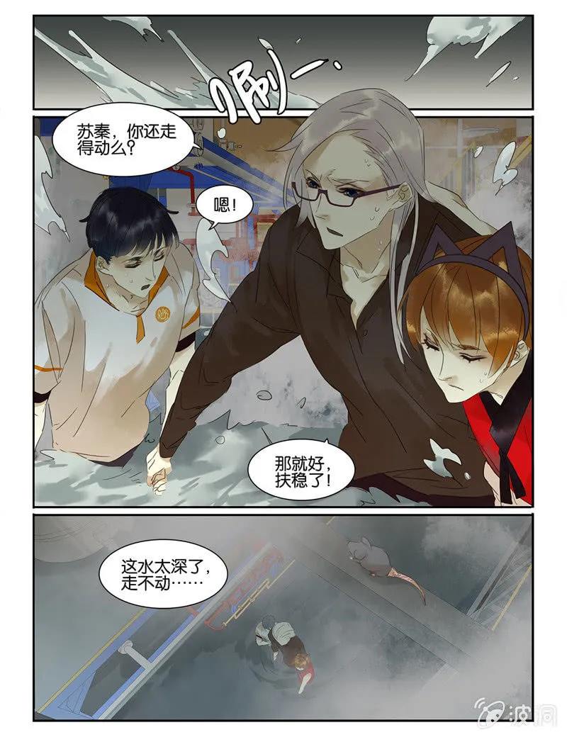 46 第14页