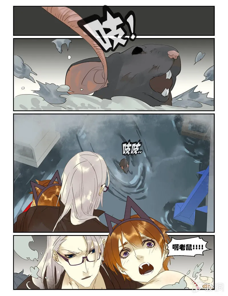 46 第17页
