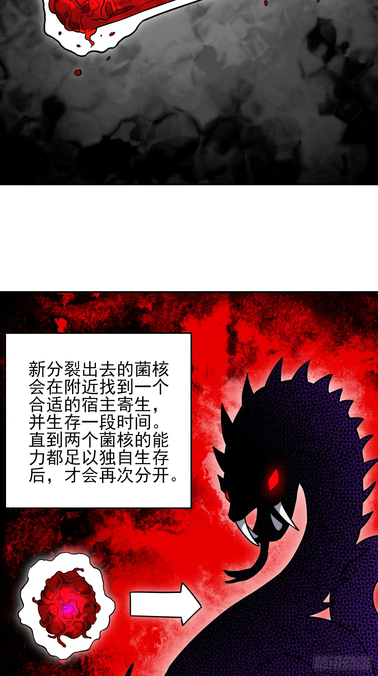 第146话 血纹花 第24页