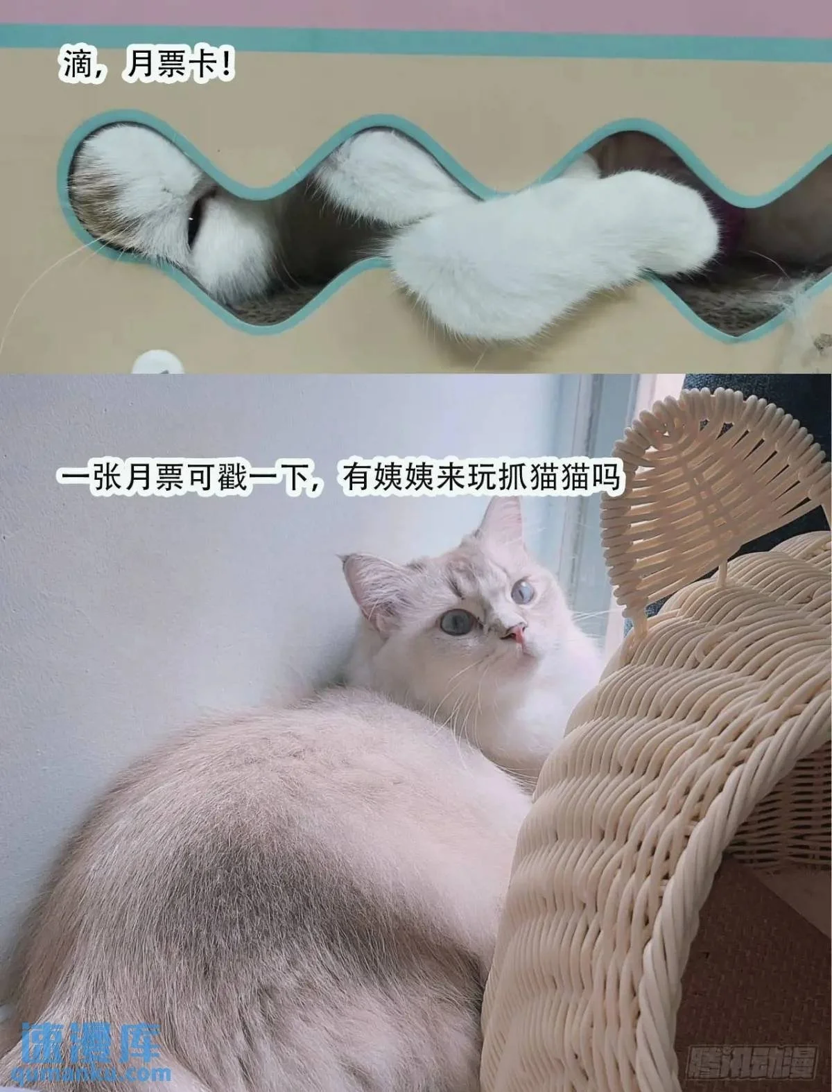 第221话 英雄救美 第47页