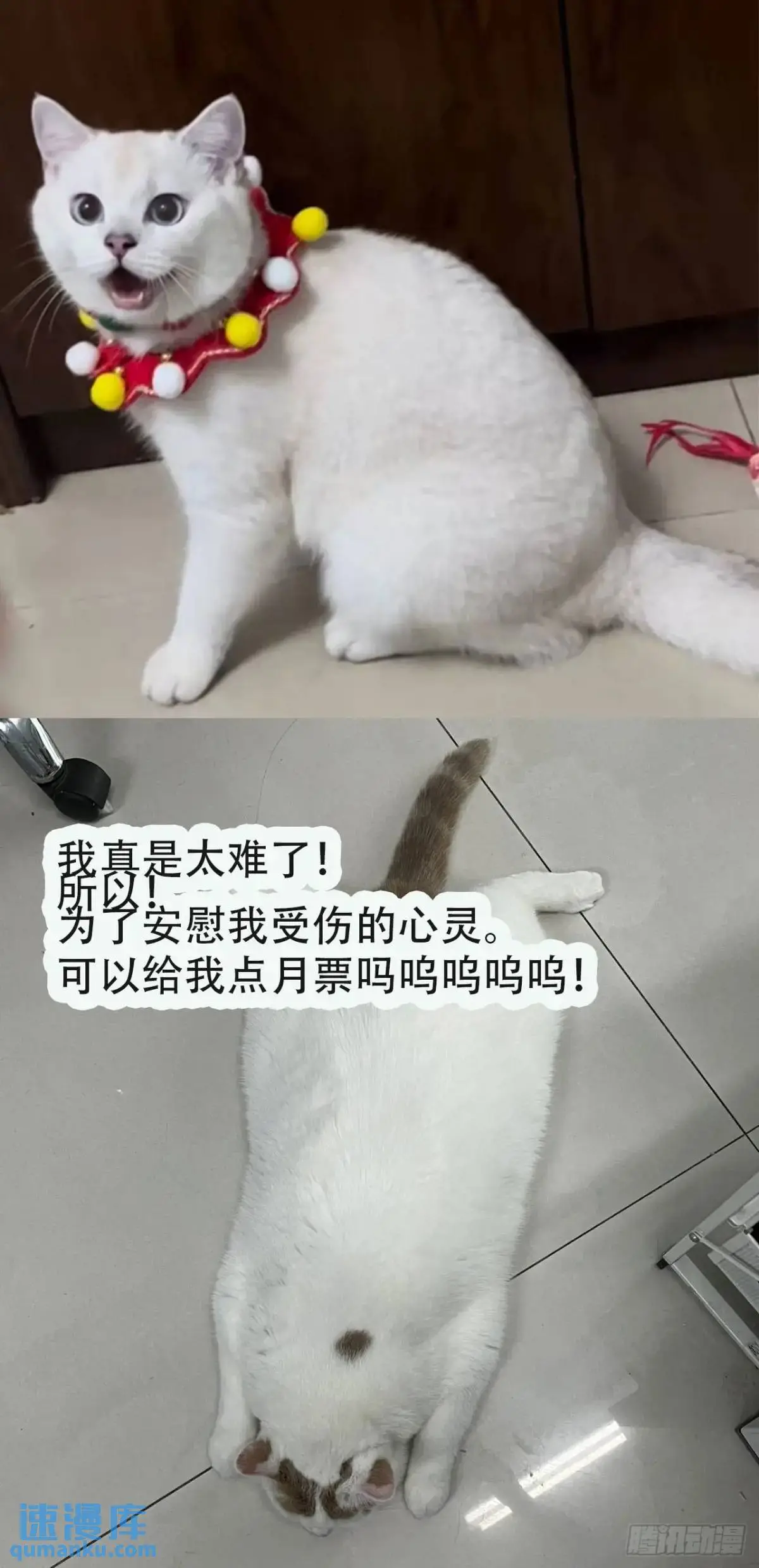第225话 生死未卜 第45页