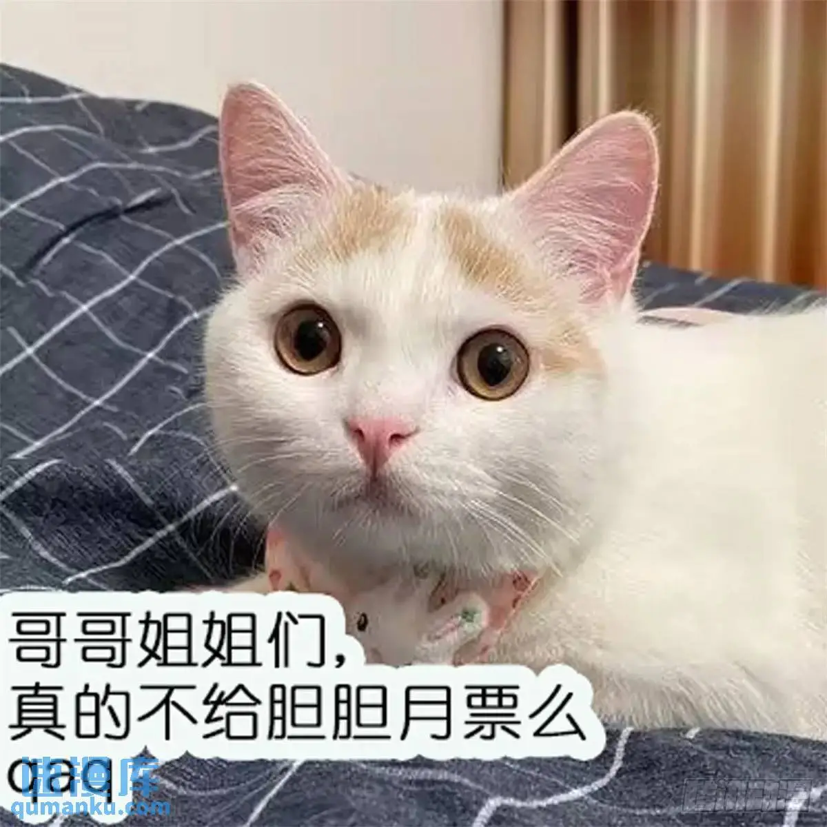 232话 成年孟超 第58页