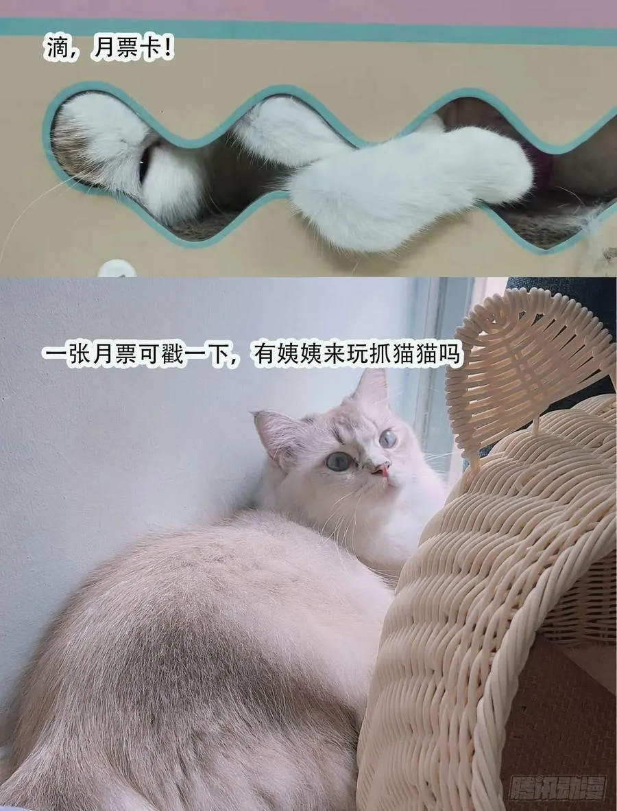 第234话 援军！ 第71页