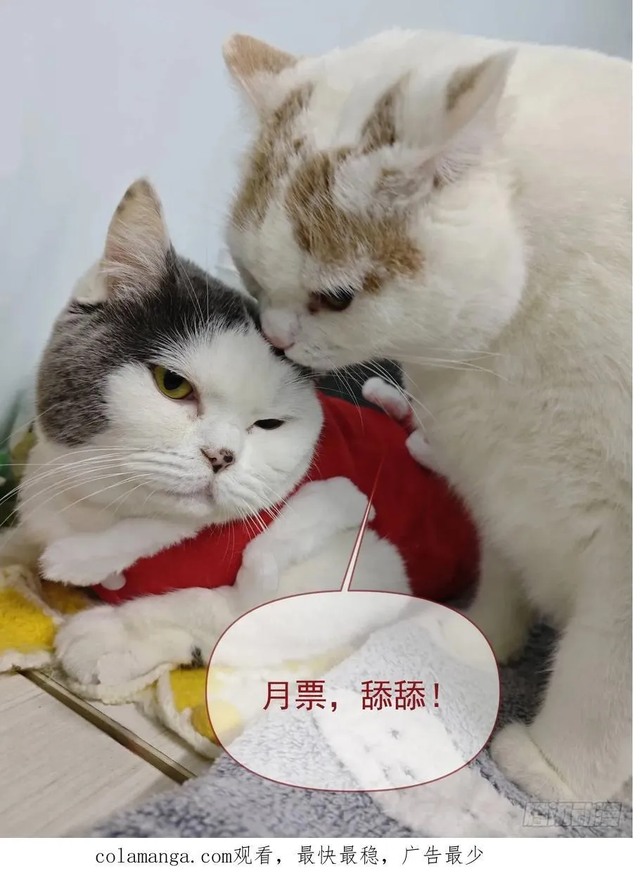 第242话 宁朗的过往 第57页