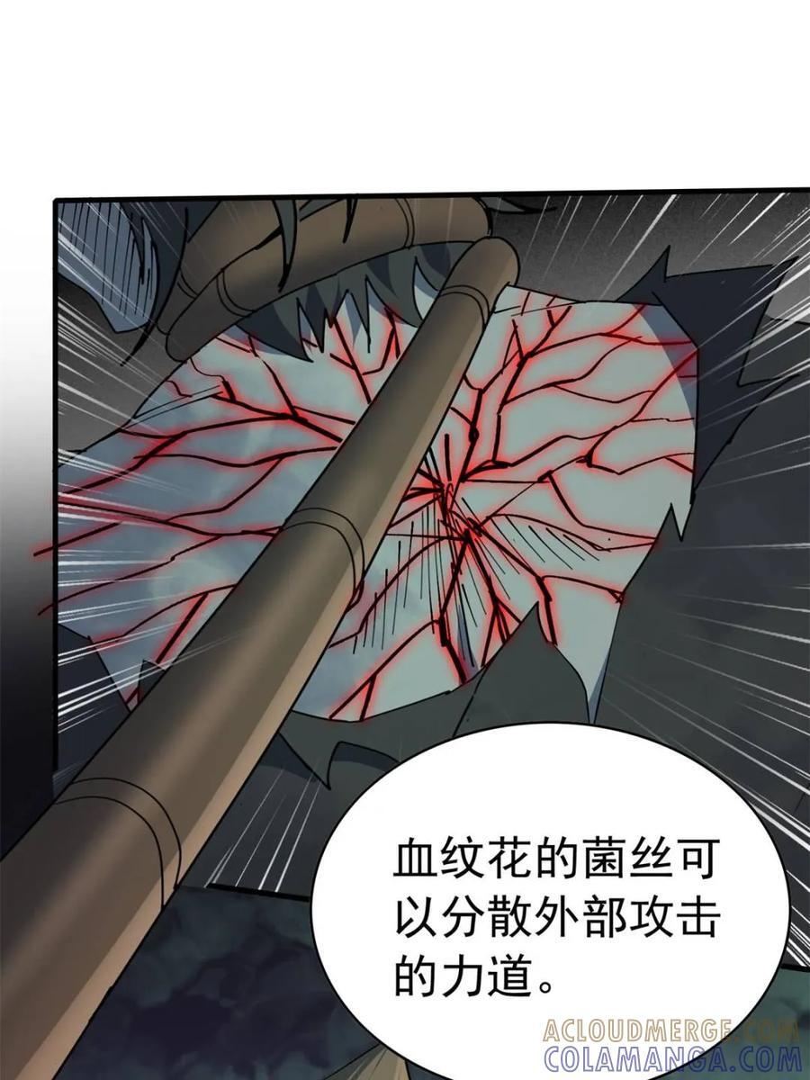 第335话 争斗吞噬的恶果 第13页
