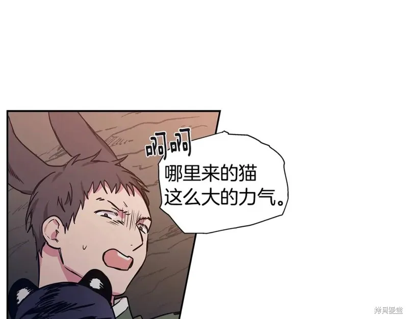 番外10 第50页