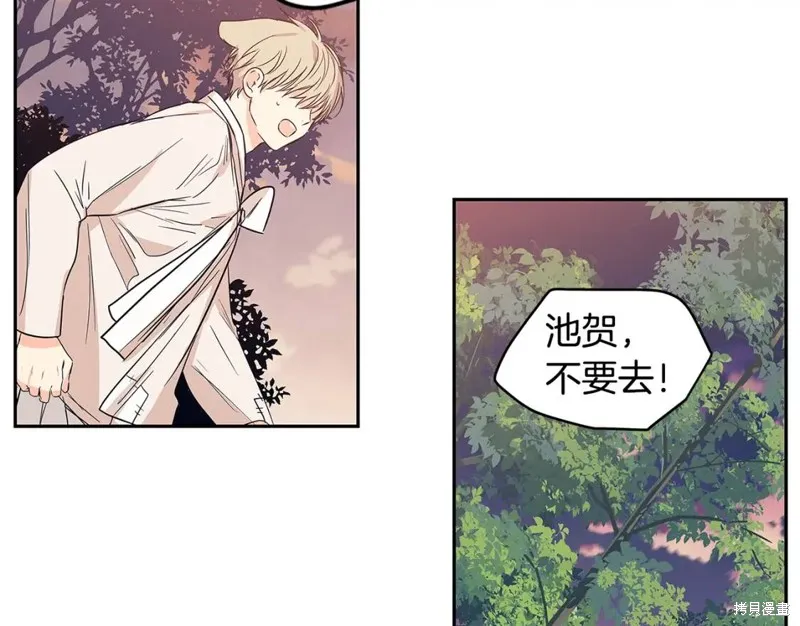 番外10 第66页