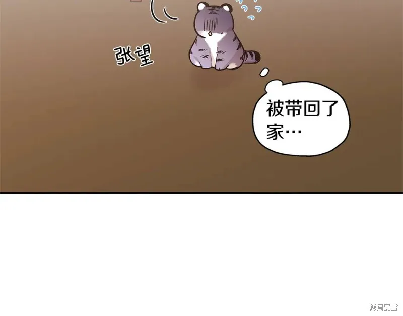 番外8 第7页