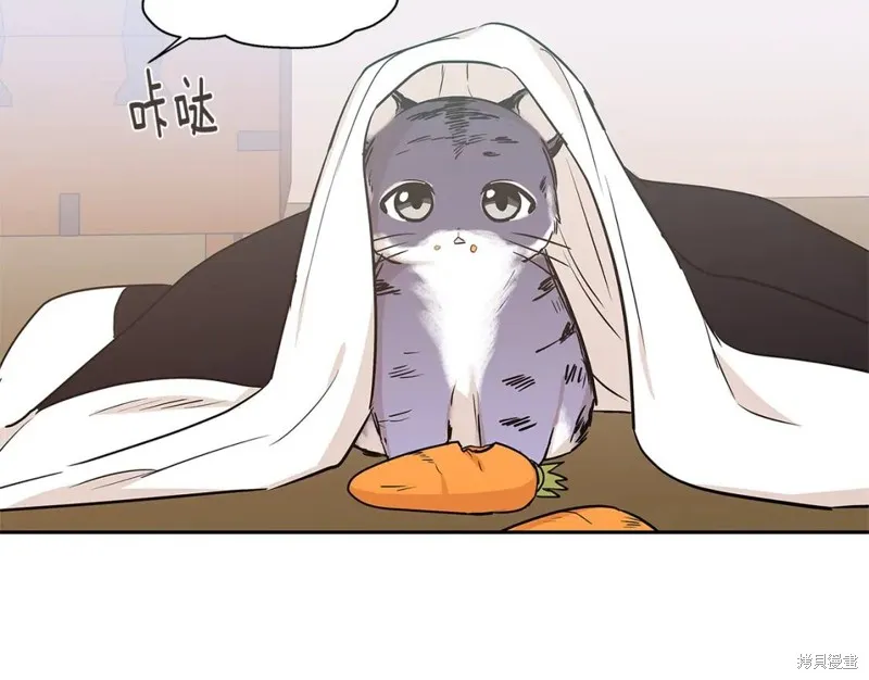 番外8 第22页
