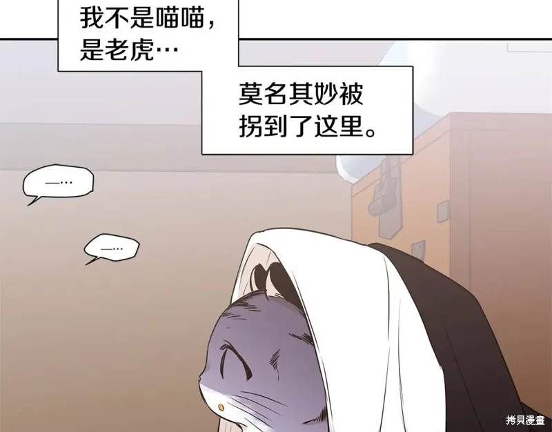 番外8 第25页
