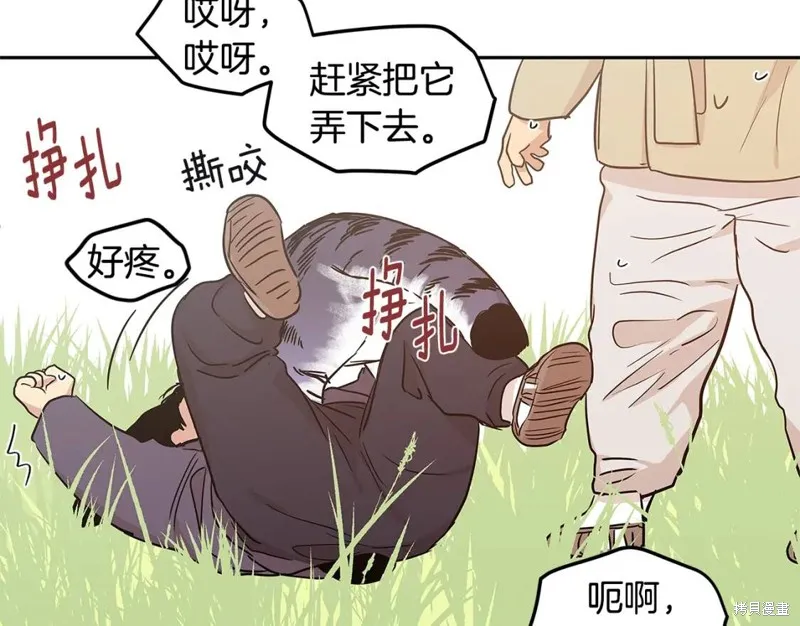 番外8 第51页